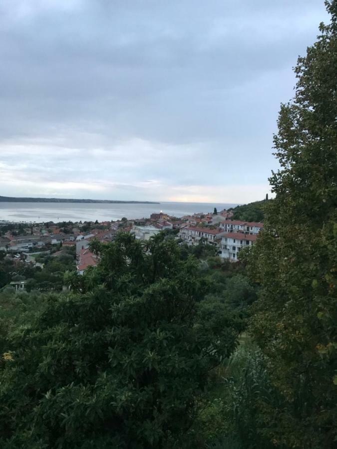 Milena Apartment Portorož Eksteriør billede